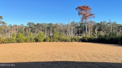 lot 72 Rear Yard