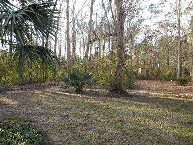 Abercorn Rear Yard