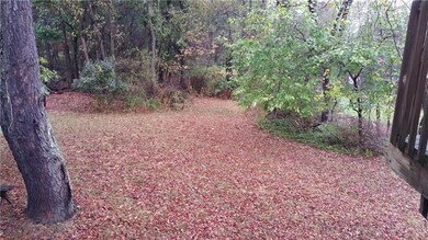 back yard and woods on 1.28 areas
