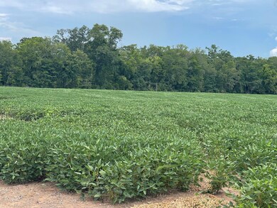 0 Hwy 71 unit 11462320, Colfax, LA 71417 - photo 5