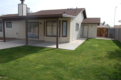 Backyard1