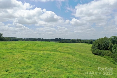 000 Old Goldmine Rd unit I, Marshville, NC 28013 - photo 4