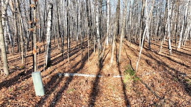 ON Timbershore Dr, Three Lakes, WI 54562 - photo 3