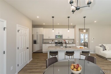 3336 Vine Clad Hill Dr, Arnold, MO 63010 - photo 6