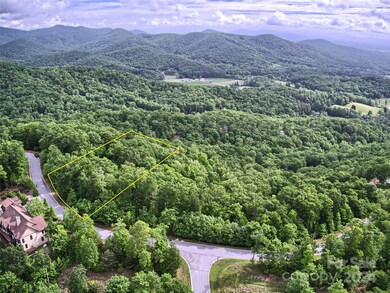 1094 Mills River Way unit 46, Horse Shoe, NC 28742 - photo 2