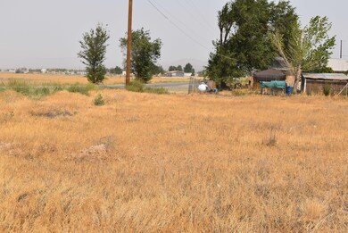 LOT VIEW 5