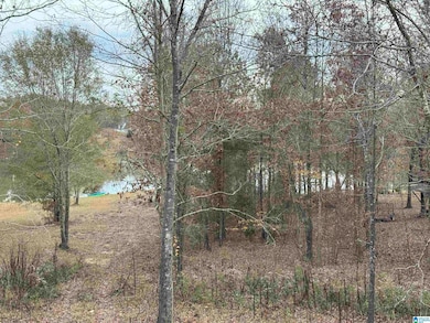 320 Emerald Ln, Chelsea, AL 35043 - photo 3