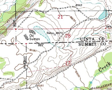 0 00 unit 2054374, Kamas, UT 84036 - photo 4