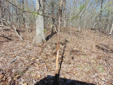 0 Tbd Co Rd 431, Poplar Bluff, MO 63901 - photo 4