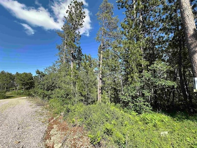 TBD Rocky Point Rd unit TBD Rocky Point Road, Lead, SD 57754 - photo 4