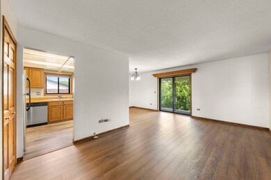 1233 Chalet Rd unit 300, Naperville, IL 60563 - photo 3