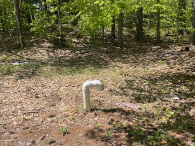 THE SEPTIC SYSTEM IS A CHAMBERED SYSTEM.  PLAN IS AVAILABLE TO REVIEW.