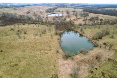 DJI_0365