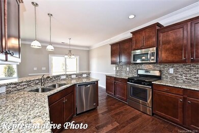 468 Snapdragon Dr unit LOT 278, Clover, SC 29710 - photo 7