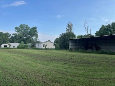 View of grassy yard