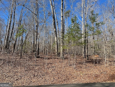 275 Shore Crest Dr, Martin, GA 30557 - photo 3