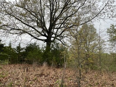 0 State Highway D, Thornfield Township, MO 65762 - photo 4