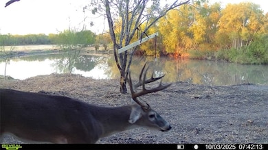 0 County Road 215, McCoy, TX 78113 - photo 4