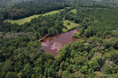 2217 Mcleod Rd, Goshen, AL 36035 - photo 2