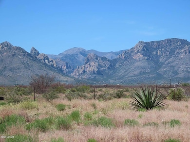 1770 S B Lee Ln unit S, Portal, AZ 85632 - photo 2