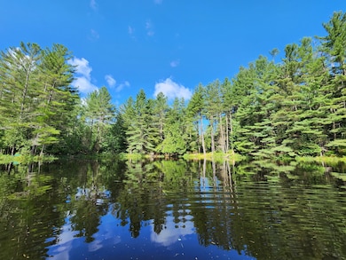 13331 Henry Rd, Diana Center, NY 13648 - photo 2