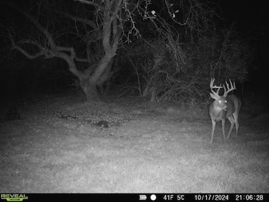 V L Hatton Rd, Farwell, MI 48622 - photo 4