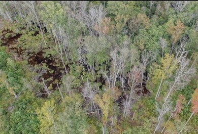 TBD Robin Rd, Prince George, VA 23842 - photo 4