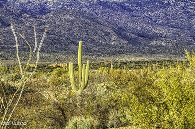 IMG_9999_262_edit