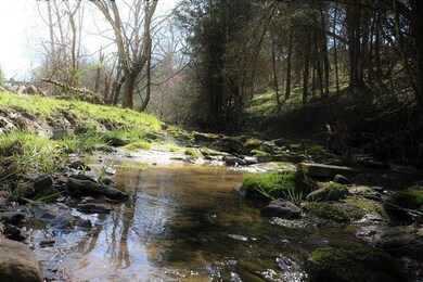 711 Bethel Rd, Harrodsburg, KY 40330 - photo 5