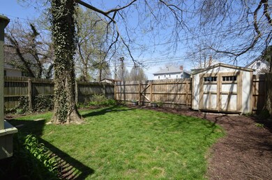 Back yard
