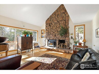 198 Frontier Ln, Nederland, CO 80466 - photo 6