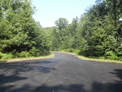 011 Loblolly Ln unit 11, Tunnel Hill, GA 30755 - photo 4