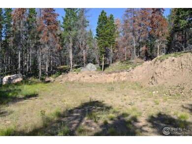 268 Elk Bugle Way, Bellvue, CO 80512 - photo 2