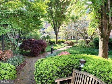 8101 Connecticut Ave unit S302, Chevy Chase, MD 20815 - photo 4