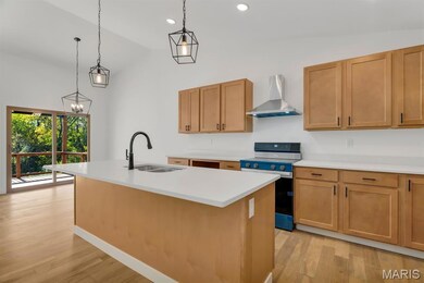 206 Wrigley Field Dr, Bethalto, IL 62010 - photo 7