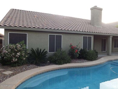 Back Patio and Pool
