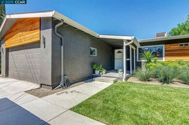 Mid-Century accent walls and lighting