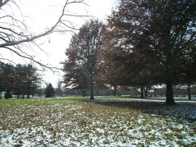 20242 1650 East St, Princeton, IL 61356 - photo 3