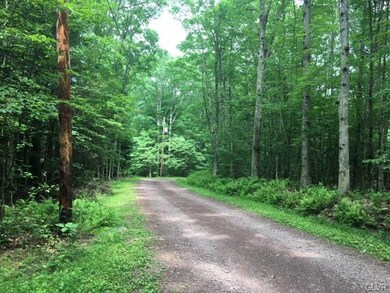 37 Pulpit Rock Ln, Drum, PA 18222 - photo 6