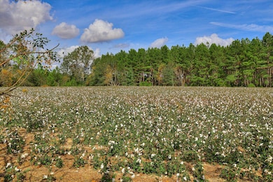 1300 Terry Dr, Wrens, GA 30833 - photo 4