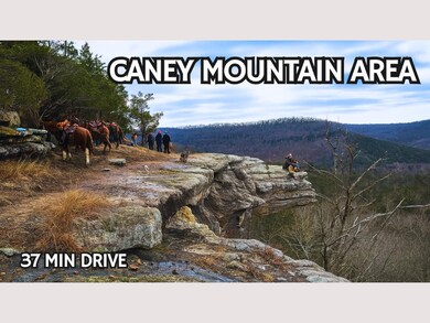 H9C8+73C Sundown unit Missouri USA, Sundown, MO 65676 - photo 7