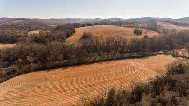 995 Gaither Rd, Shelbyville, TN 37160 - photo 6