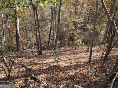 136 Lakeview Way, Baldwin, GA 30511 - photo 4