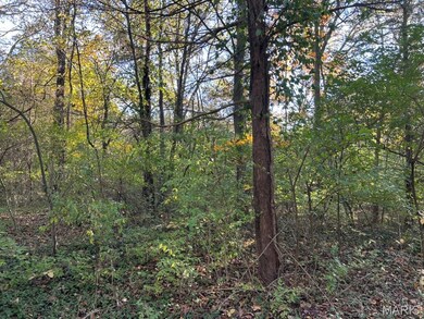 410 Oak Dr, Gray Summit, MO 63039 - photo 4