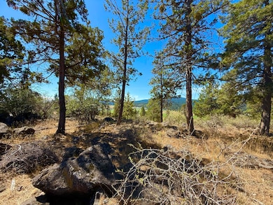 0 Keno Terrace Dr unit 20 220207058, Klamath Falls, OR 97601 - photo 7