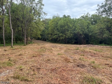 19-23-29 Swayze Mill Rd, Hope, NJ 07825 - photo 5