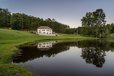 2637 River Rd, Mineral Bluff, GA 30559 - photo 5