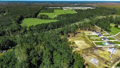 8.06 Acs Old Bucksville Rd, Conway, SC 29527 - photo 3