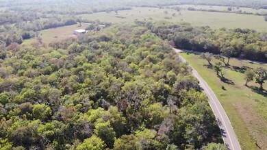 0 County Road 659 unit 75435448, Brazoria, TX 77541 - photo 5