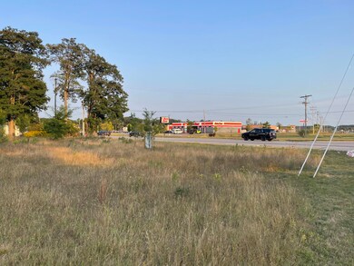 V/L E Parkdale Ave, Manistee Township, MI 49660 - photo 2